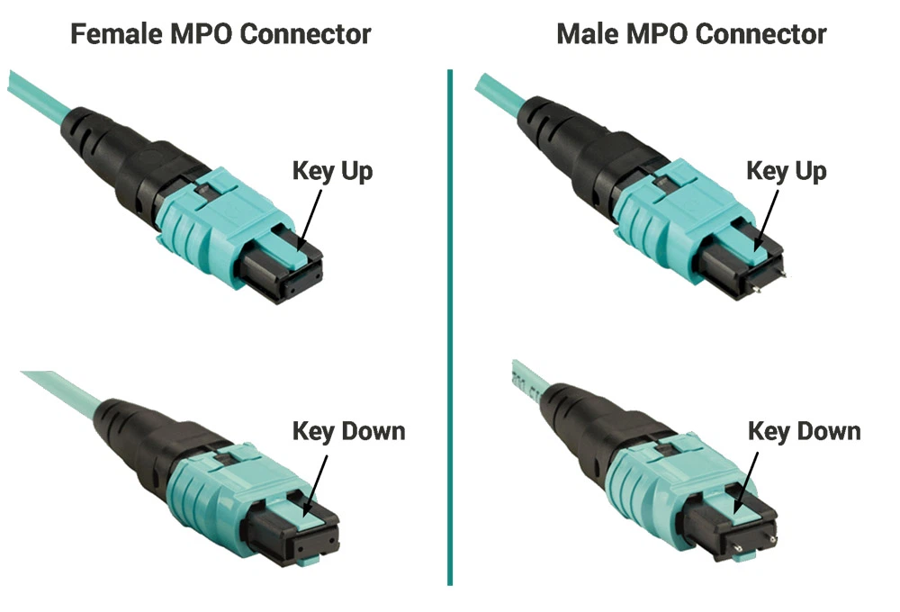 MPO MTP Connector